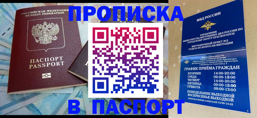 найти адрес прописки в Шагонаре